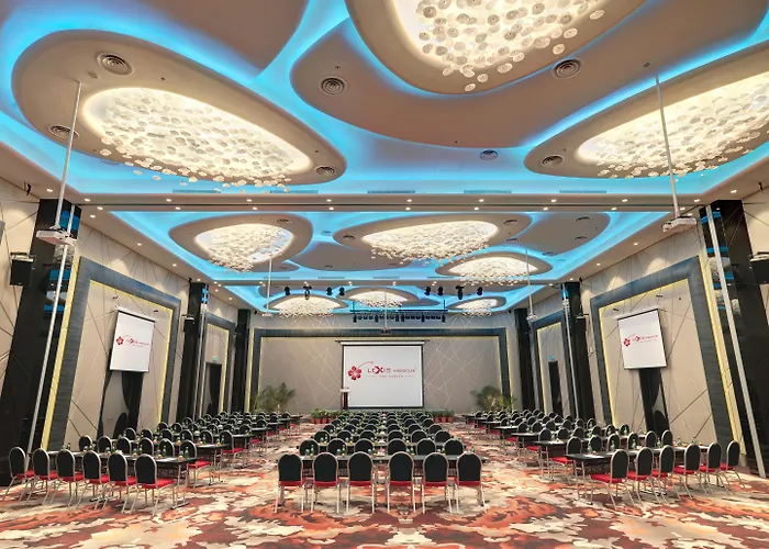 Lexis Hibiscus